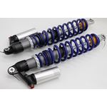 2 x Rear Shocks STAGE 4 compression rebound preload adjust Polaris RZR XP 4 900 1