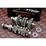 TYSON RACING Banshee drag transmission PRO MOD 1-6 dunable 3