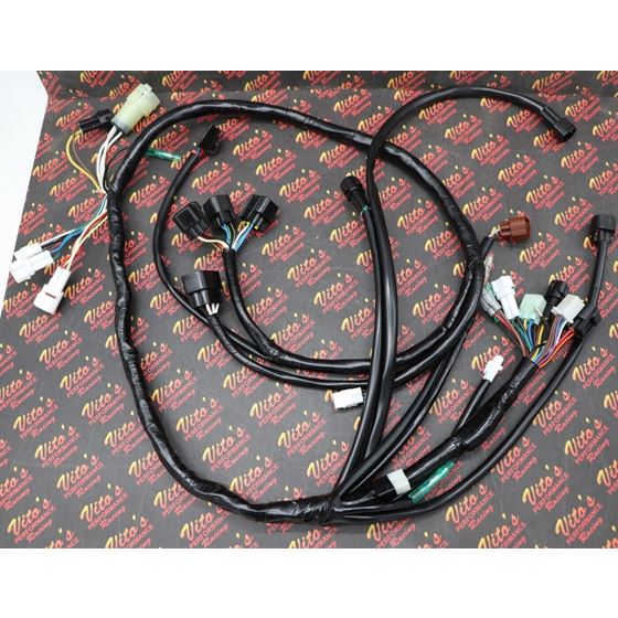 Wire Harness Raptor 660 OEM REPLACEMENT Wiring loom + Plugs 2002 2003 2004 660r1